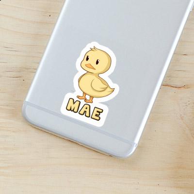 Sticker Duck Mae Gift package Image