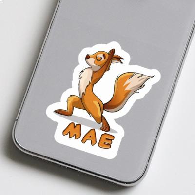 Squirrel Sticker Mae Image