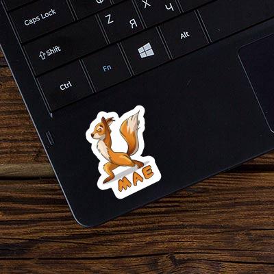 Squirrel Sticker Mae Laptop Image