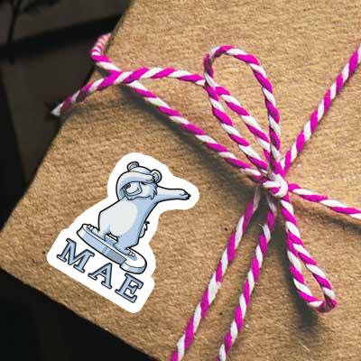 Sticker Bear Mae Gift package Image