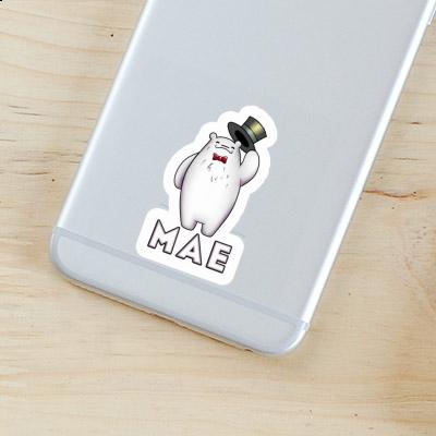 Mae Sticker Ice Bear Laptop Image