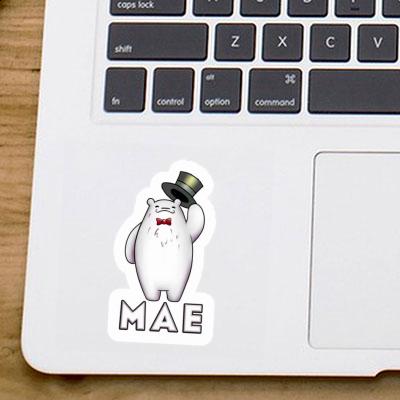 Mae Sticker Ice Bear Gift package Image