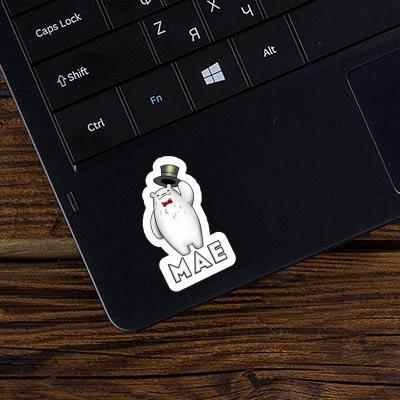 Mae Sticker Ice Bear Laptop Image