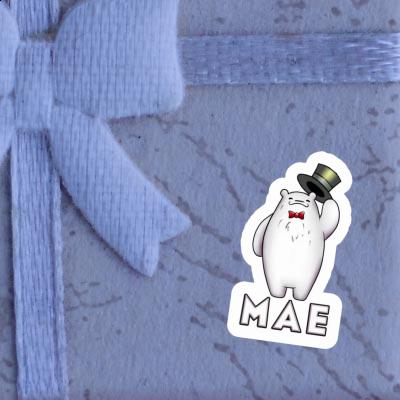 Mae Sticker Ice Bear Image