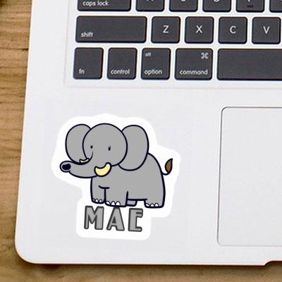 Sticker Mae Elephant Gift package Image