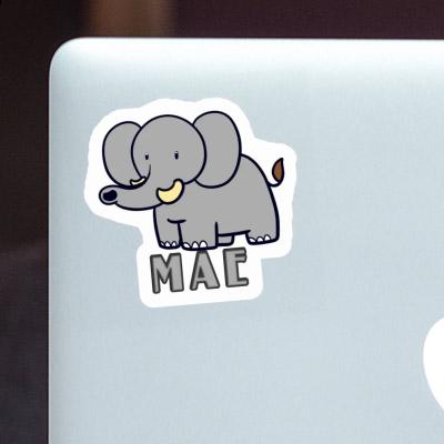 Sticker Mae Elephant Gift package Image