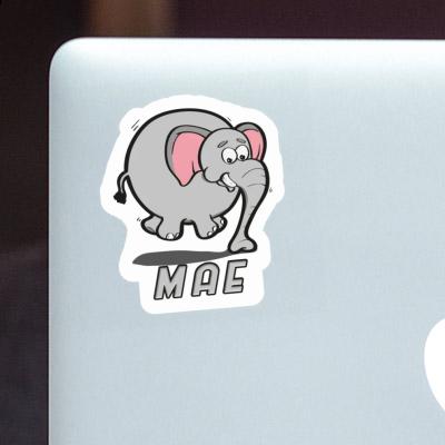 Sticker Jumping Elephant Mae Gift package Image