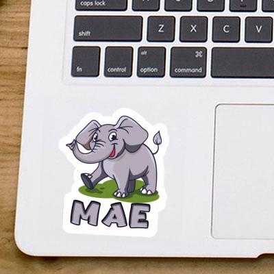 Sticker Elephant Mae Gift package Image