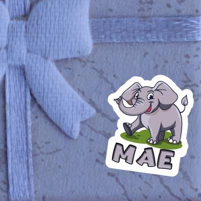 Sticker Elephant Mae Image