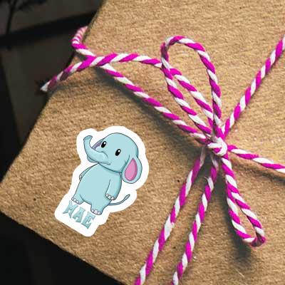 Sticker Mae Elephant Notebook Image