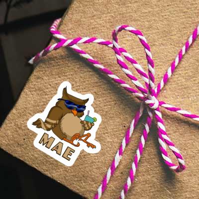 Mae Sticker Cool Owl Laptop Image