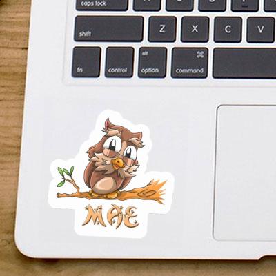 Sticker Mae Owl Notebook Image