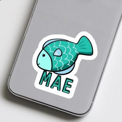 Sticker Mae Fish Gift package Image