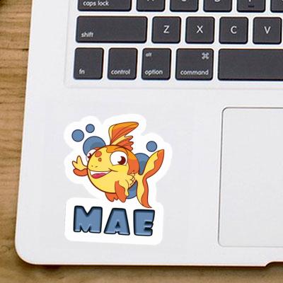 Mae Sticker Fish Notebook Image