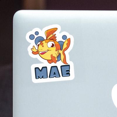 Mae Sticker Fish Notebook Image