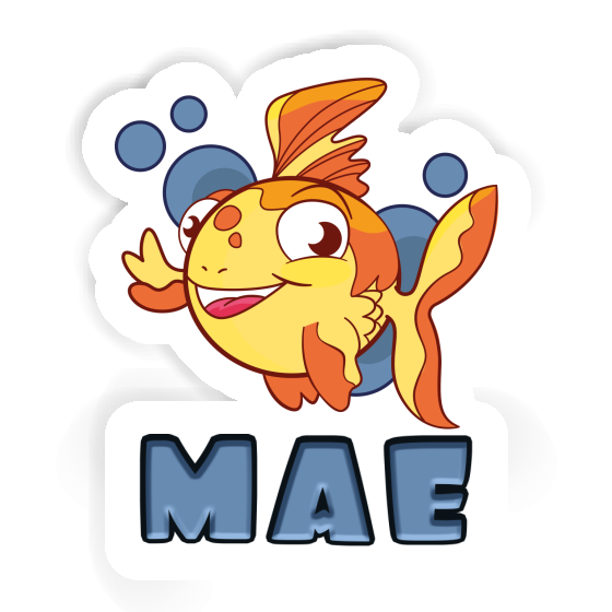 Mae Sticker Fish Gift package Image