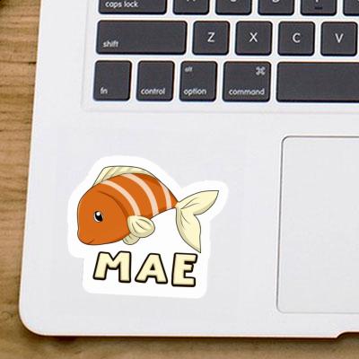 Sticker Fish Mae Gift package Image