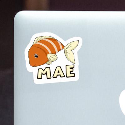 Sticker Fish Mae Notebook Image