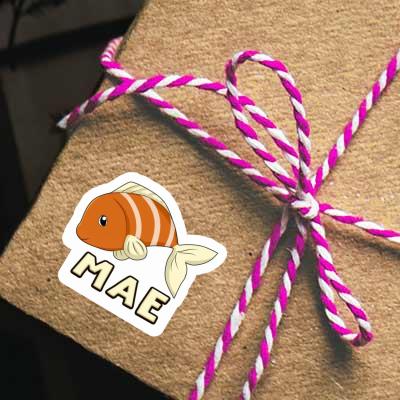 Sticker Fish Mae Notebook Image