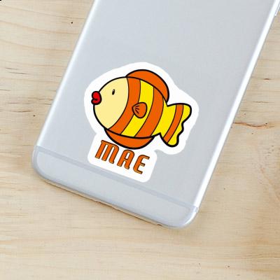 Sticker Mae Fish Laptop Image