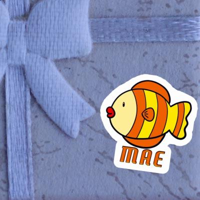 Sticker Mae Fish Gift package Image