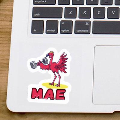 Mae Sticker Weight Lifter Gift package Image