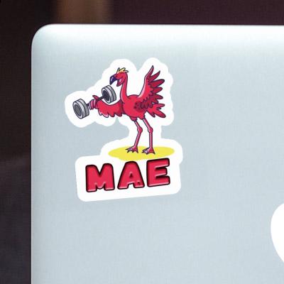 Mae Aufkleber Flamingo Laptop Image