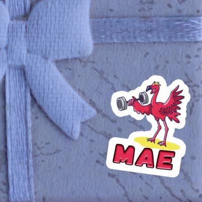 Mae Sticker Weight Lifter Notebook Image