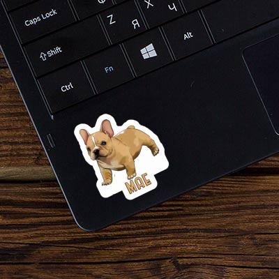 Sticker French Bulldog Mae Gift package Image