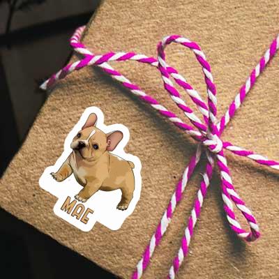 Sticker French Bulldog Mae Laptop Image