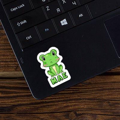 Sticker Mae Frog Laptop Image