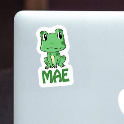 Aufkleber Frosch Mae Laptop Image