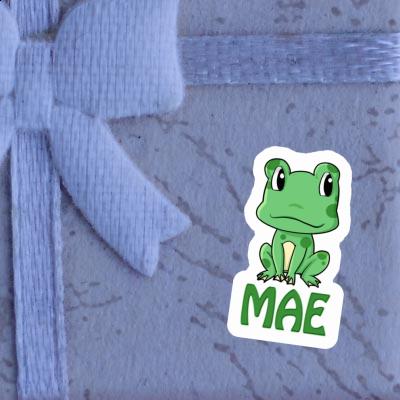 Frog Sticker Mae Image