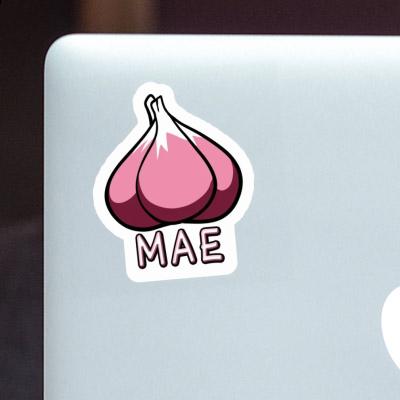 Mae Sticker Garlic clove Laptop Image