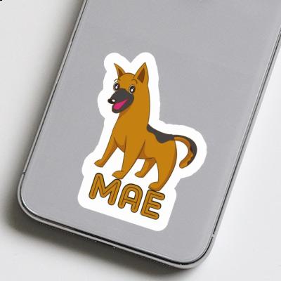 Mae Sticker Sheperd Dog Gift package Image