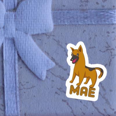 Mae Sticker Sheperd Dog Gift package Image