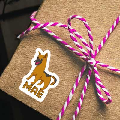 Mae Sticker Sheperd Dog Gift package Image