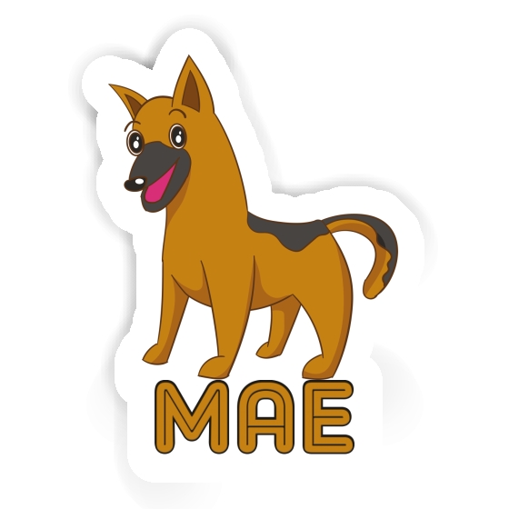 Mae Sticker Sheperd Dog Gift package Image