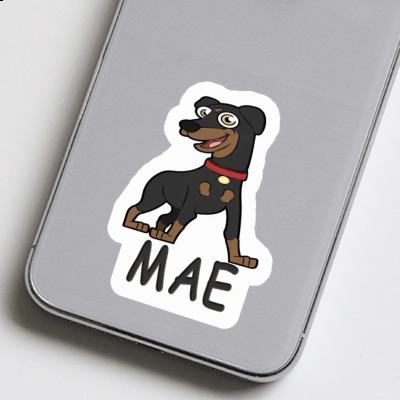 Sticker Mae German Pinscher Notebook Image