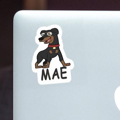 Sticker Mae German Pinscher Notebook Image