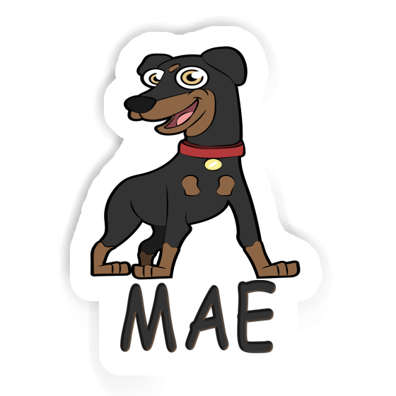 Sticker Mae German Pinscher Laptop Image