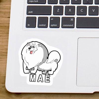 German Spitz Sticker Mae Laptop Image