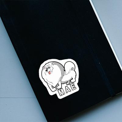 German Spitz Sticker Mae Laptop Image