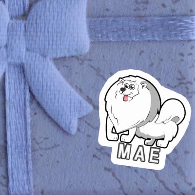 German Spitz Sticker Mae Gift package Image