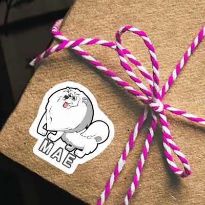 German Spitz Sticker Mae Gift package Image