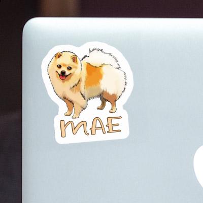 Mae Sticker German Spitz Gift package Image