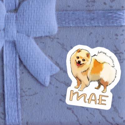 Mae Sticker German Spitz Gift package Image