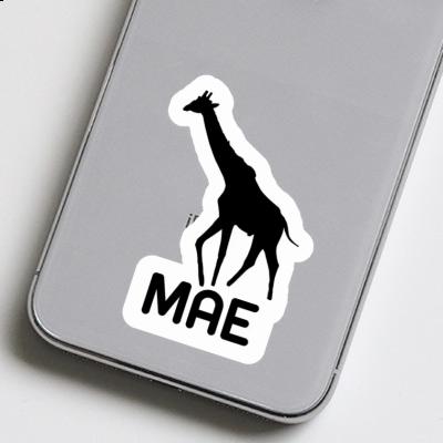 Autocollant Girafe Mae Gift package Image