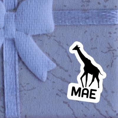 Sticker Mae Giraffe Gift package Image