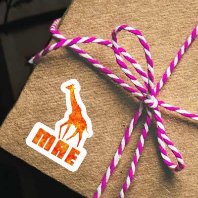 Girafe Autocollant Mae Gift package Image